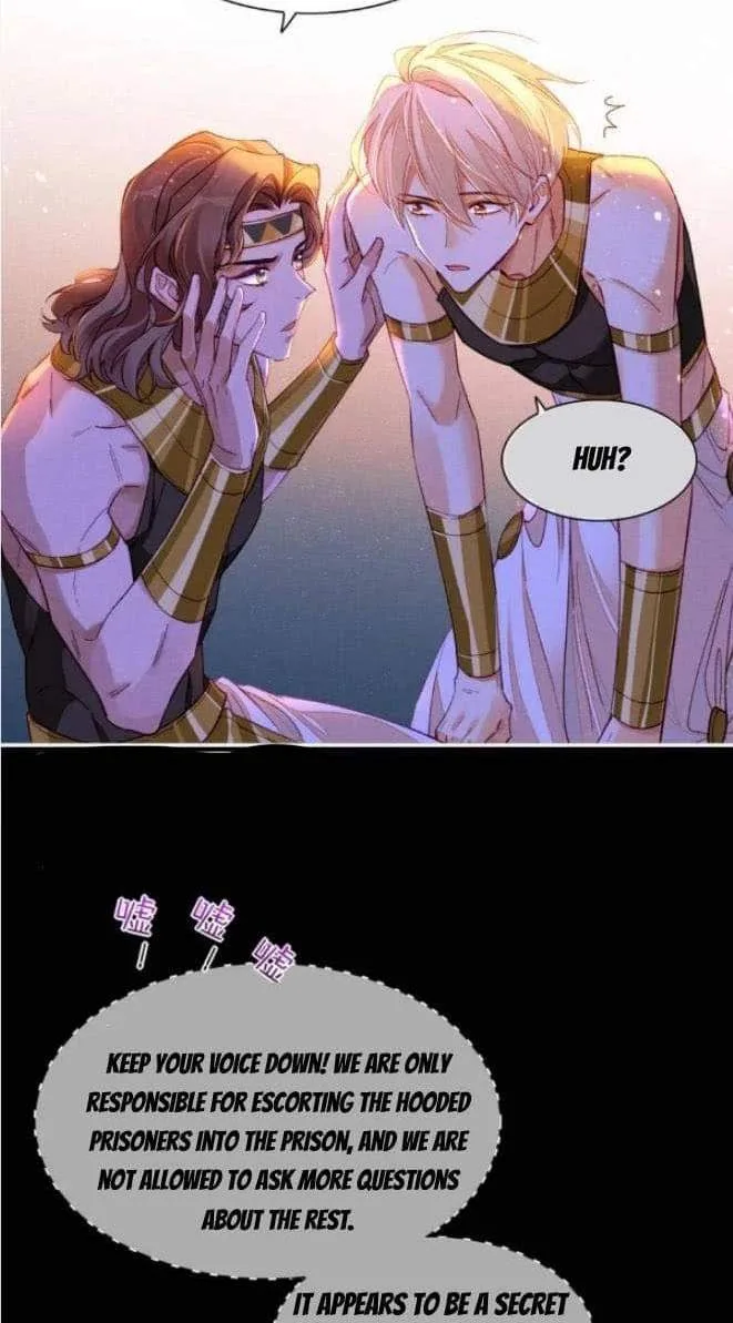 The King Chapter 25 page 12