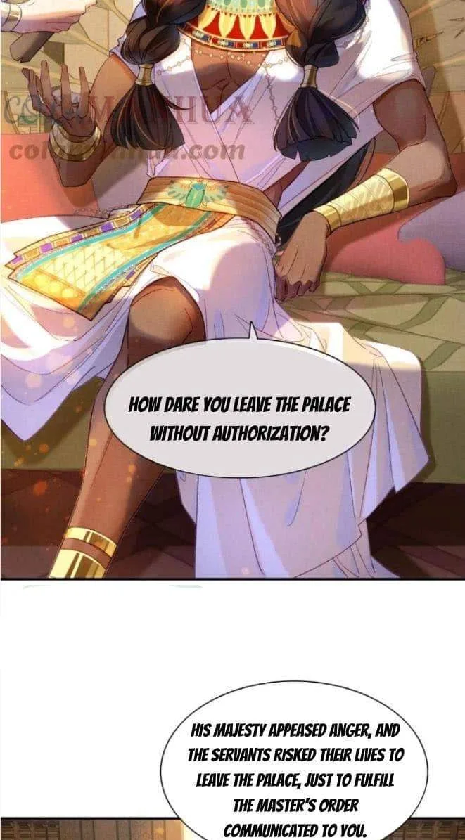 The King Chapter 25 page 48