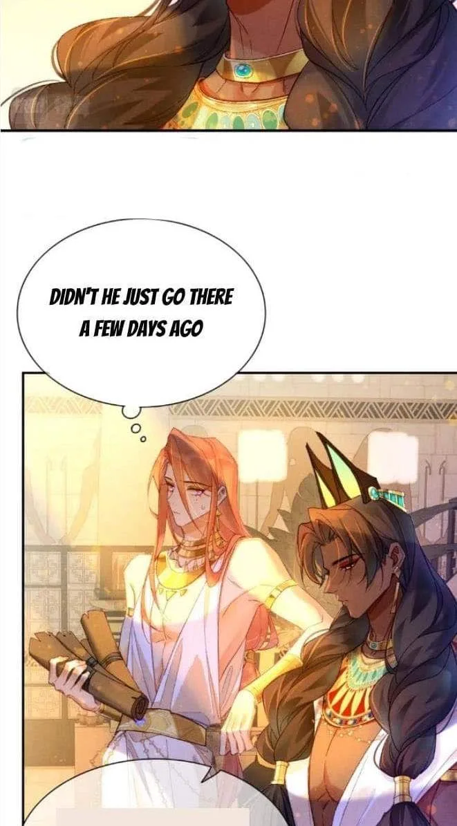 The King Chapter 25 page 50