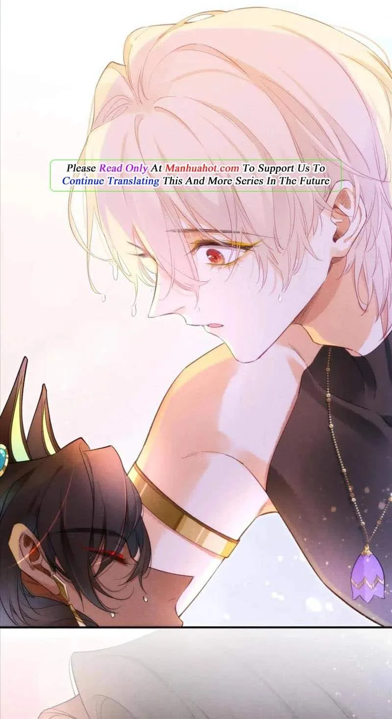 The King Chapter 30 page 30