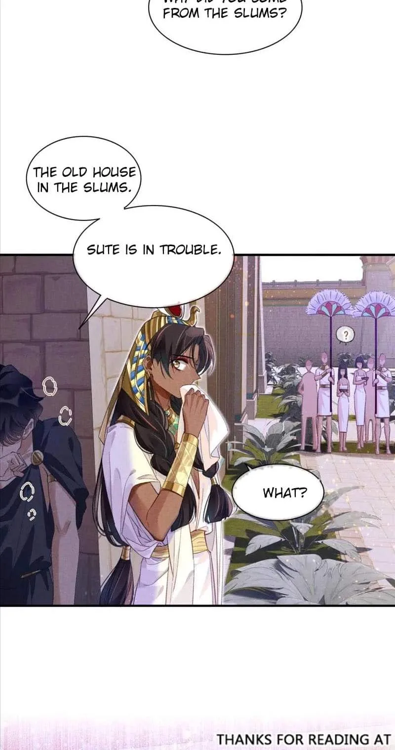 The King Chapter 33 page 38