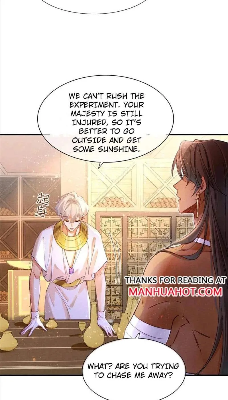 The King Chapter 36 page 15