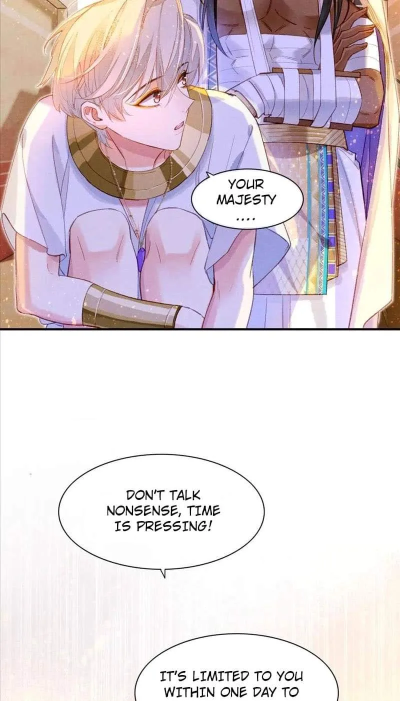 The King Chapter 35 page 23
