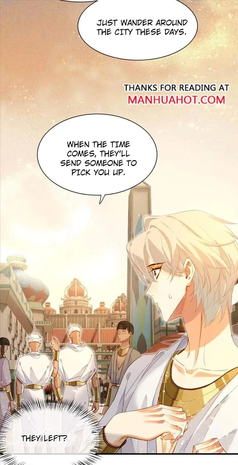 The King Chapter 42 page 44