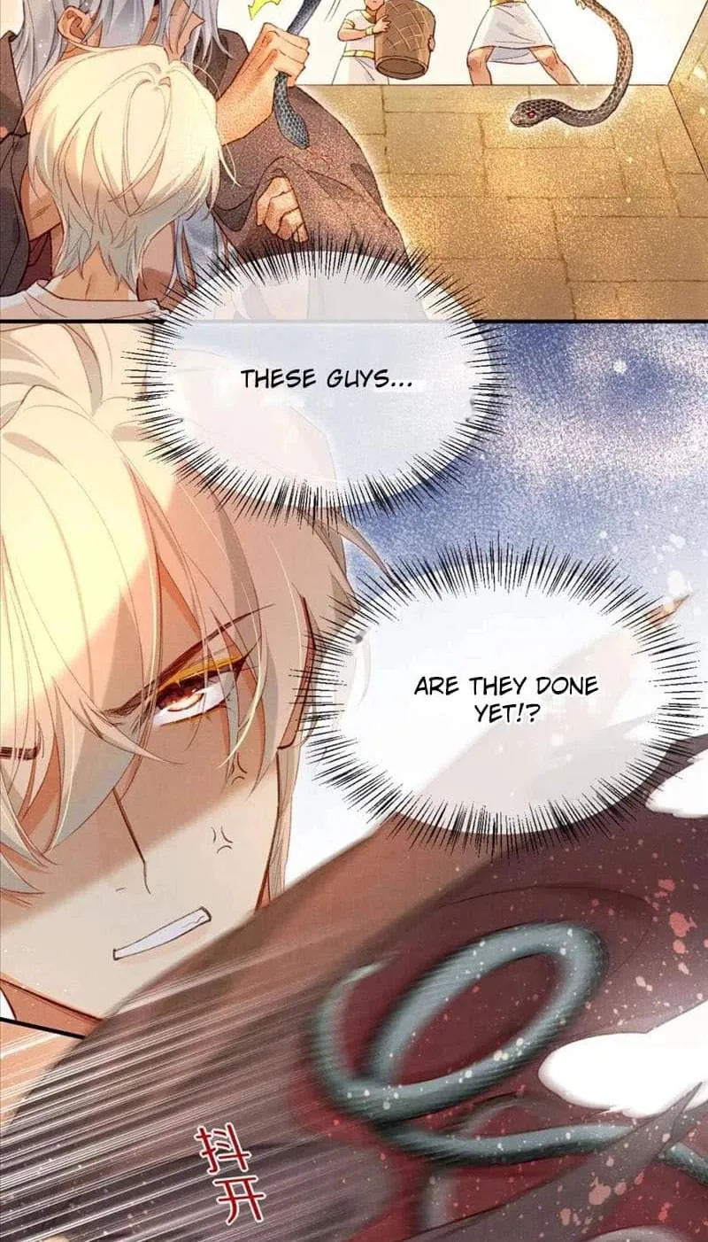 The King Chapter 43 page 43