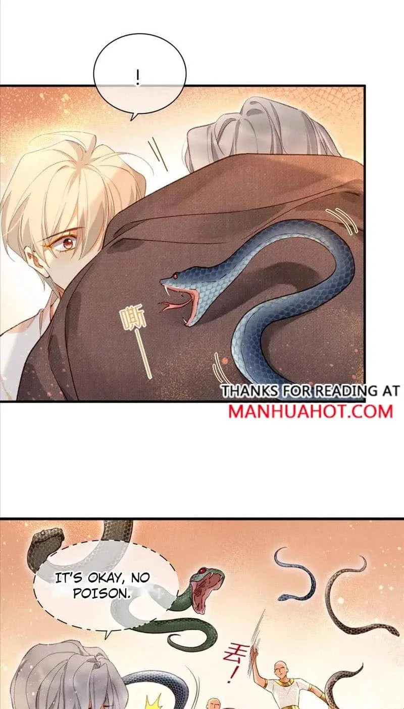 The King Chapter 43 page 42