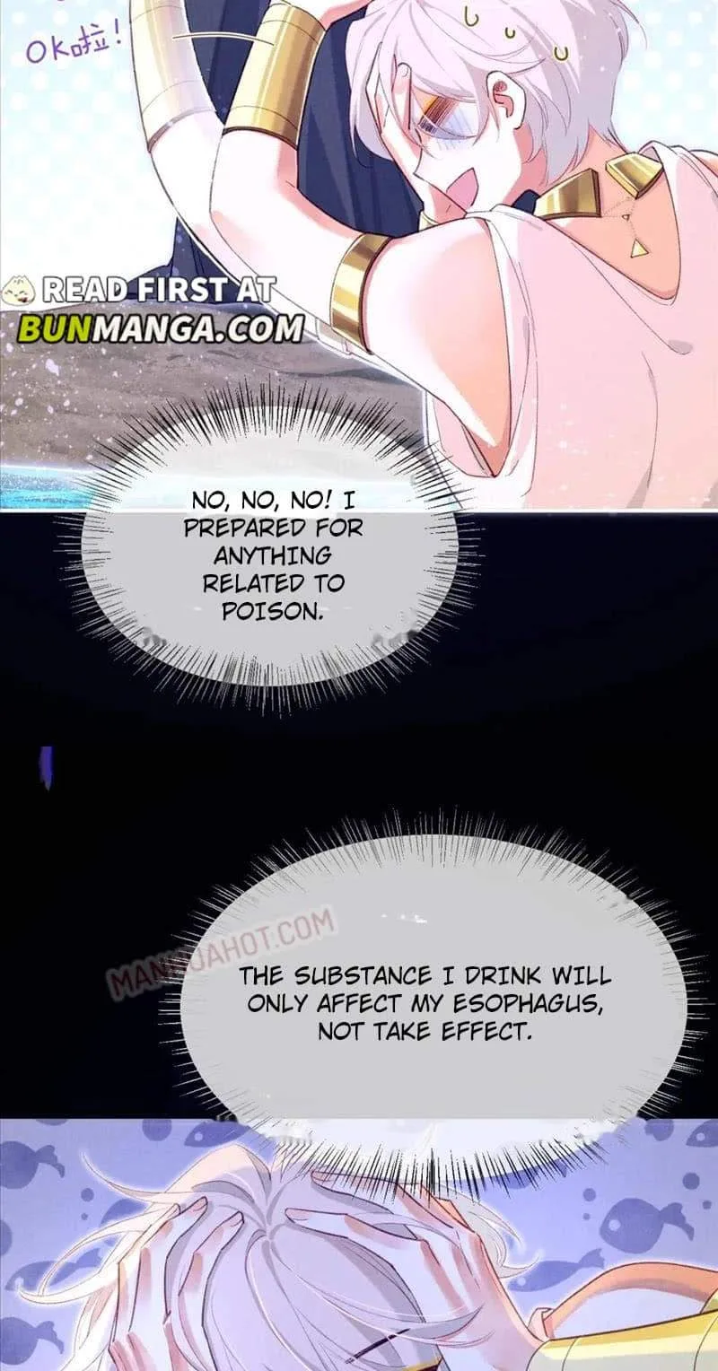 The King Chapter 46 page 41