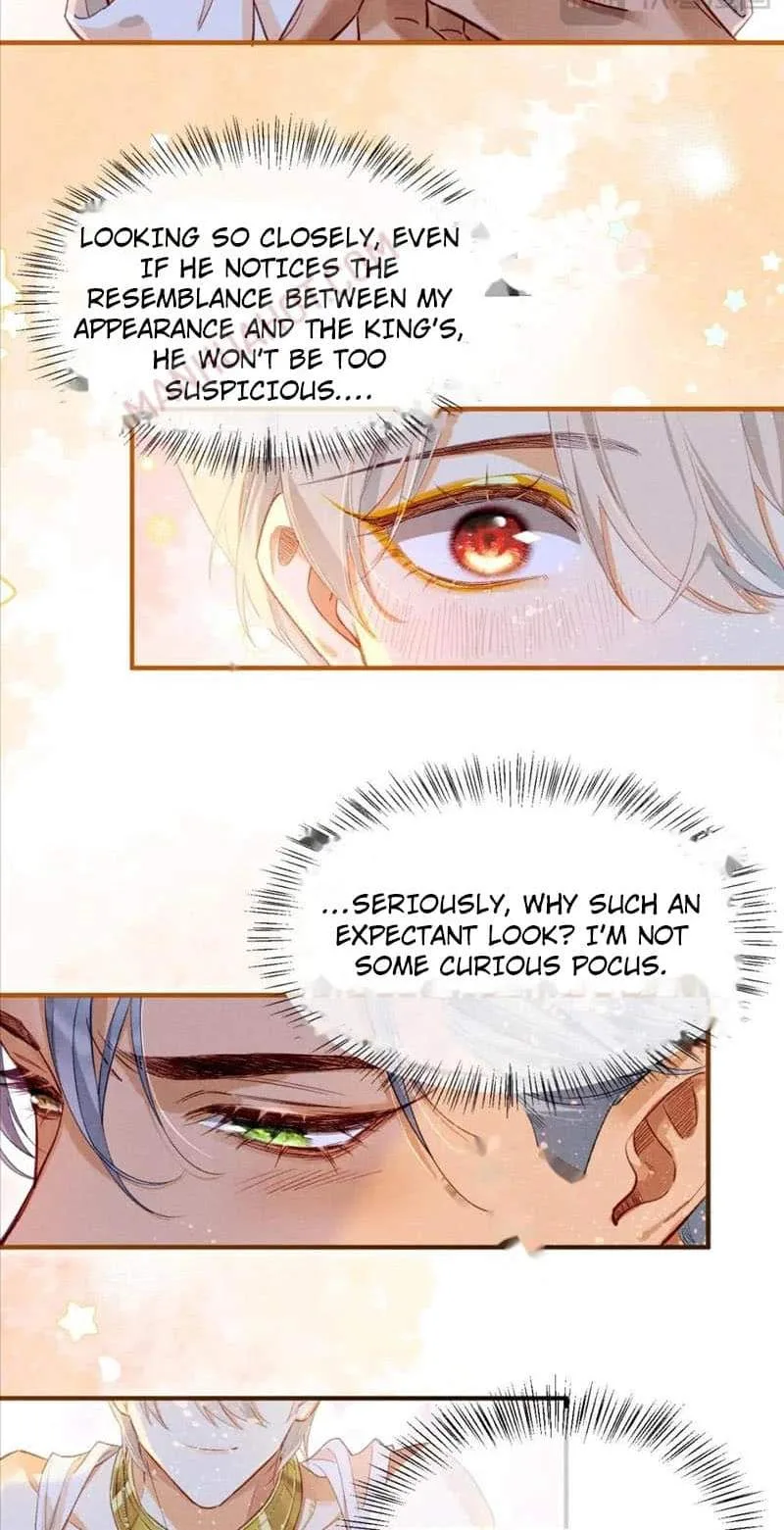 The King Chapter 48 page 43
