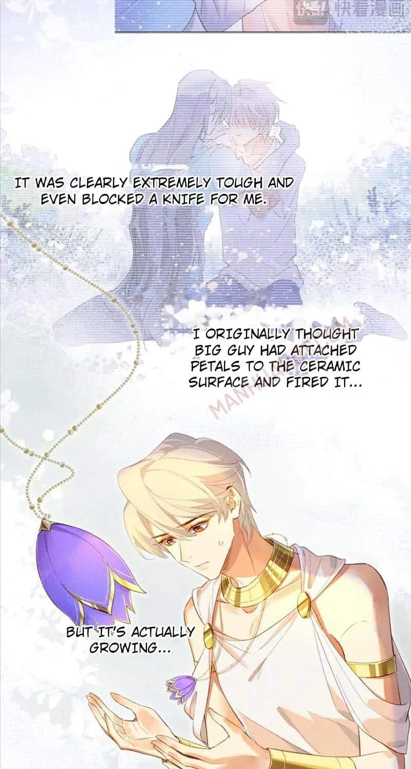 The King Chapter 48 page 48