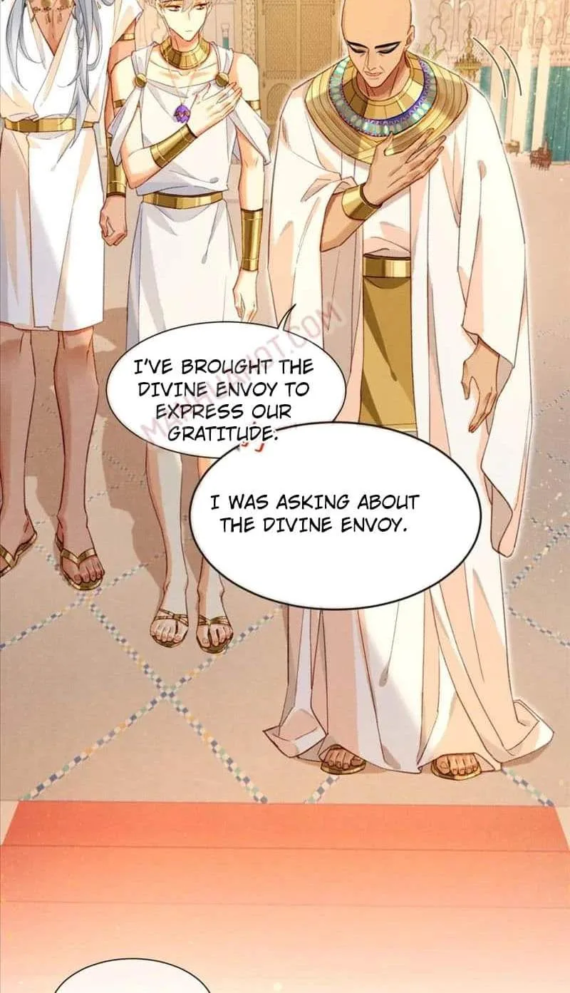 The King Chapter 49 page 7