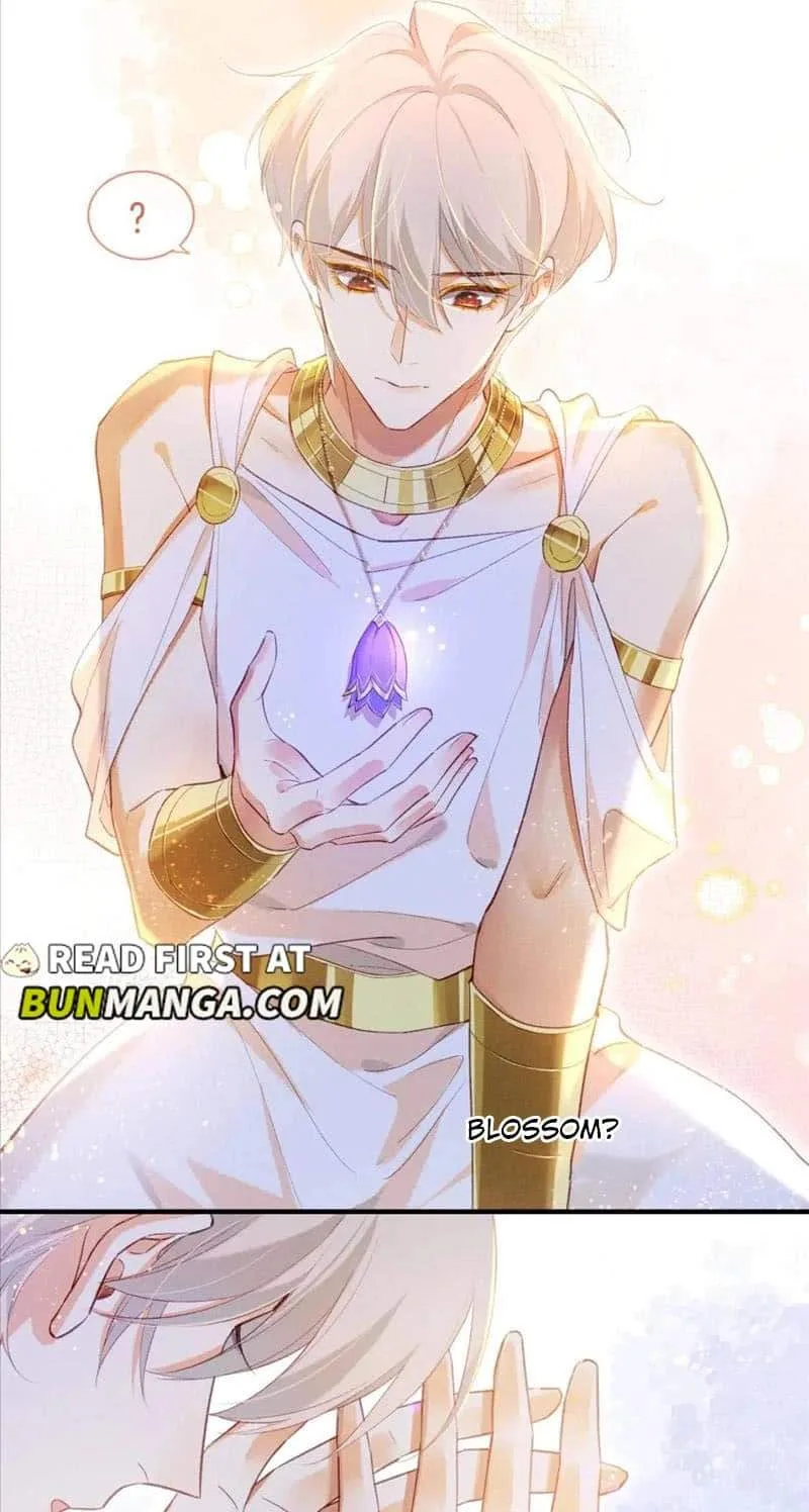 The King Chapter 48 page 45