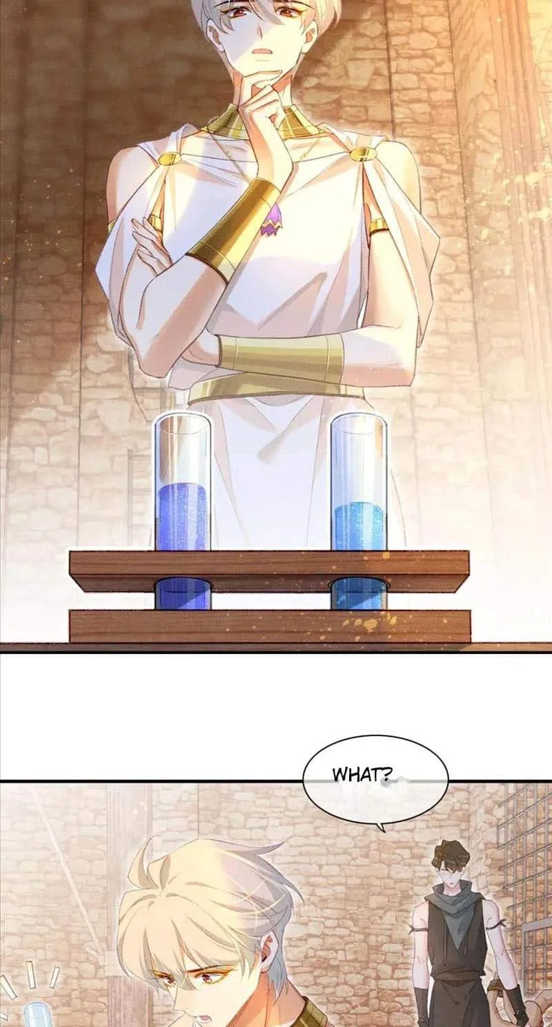 The King Chapter 48 page 16