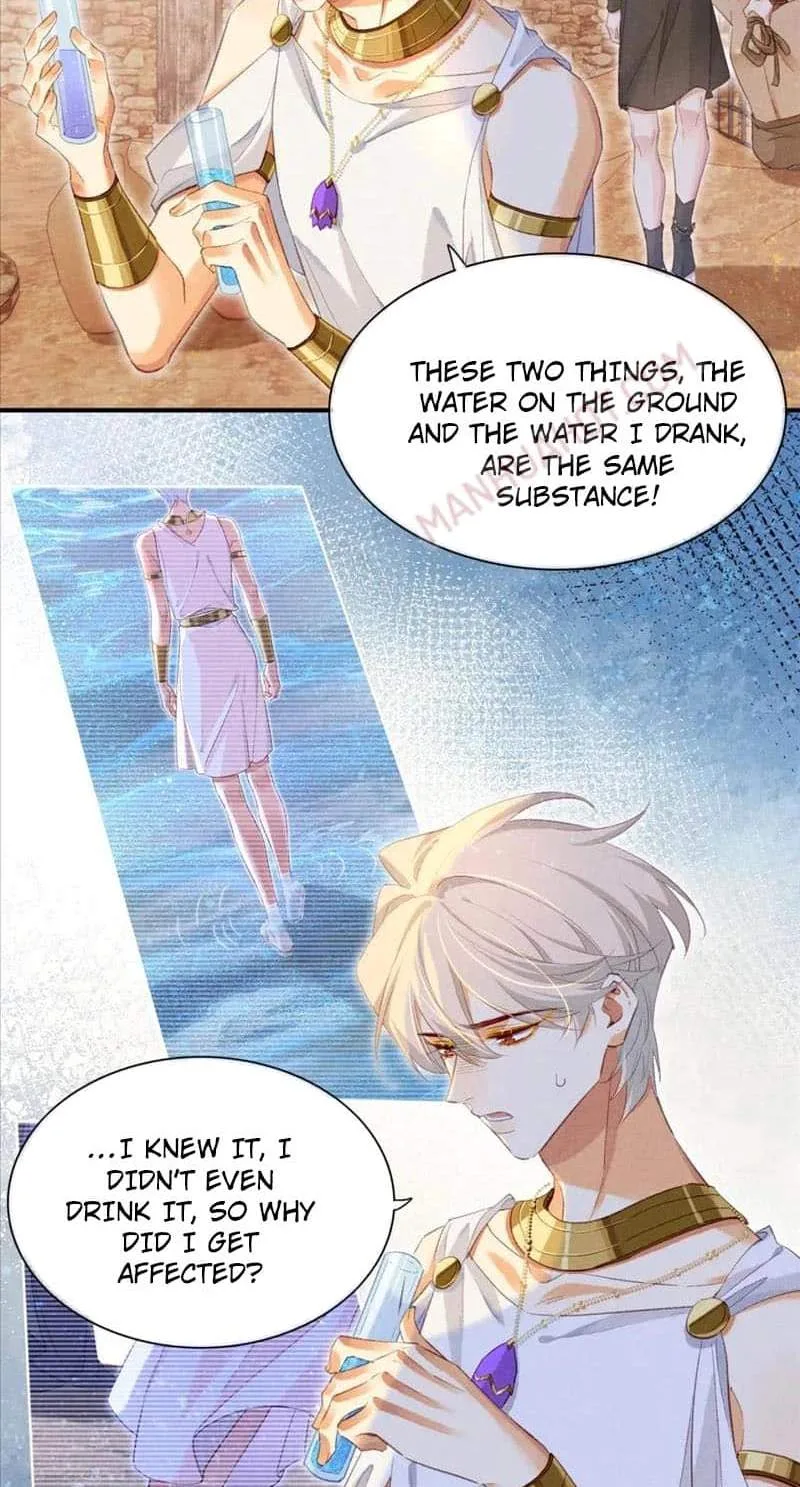The King Chapter 48 page 17