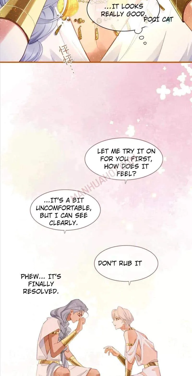 The King Chapter 48 page 41