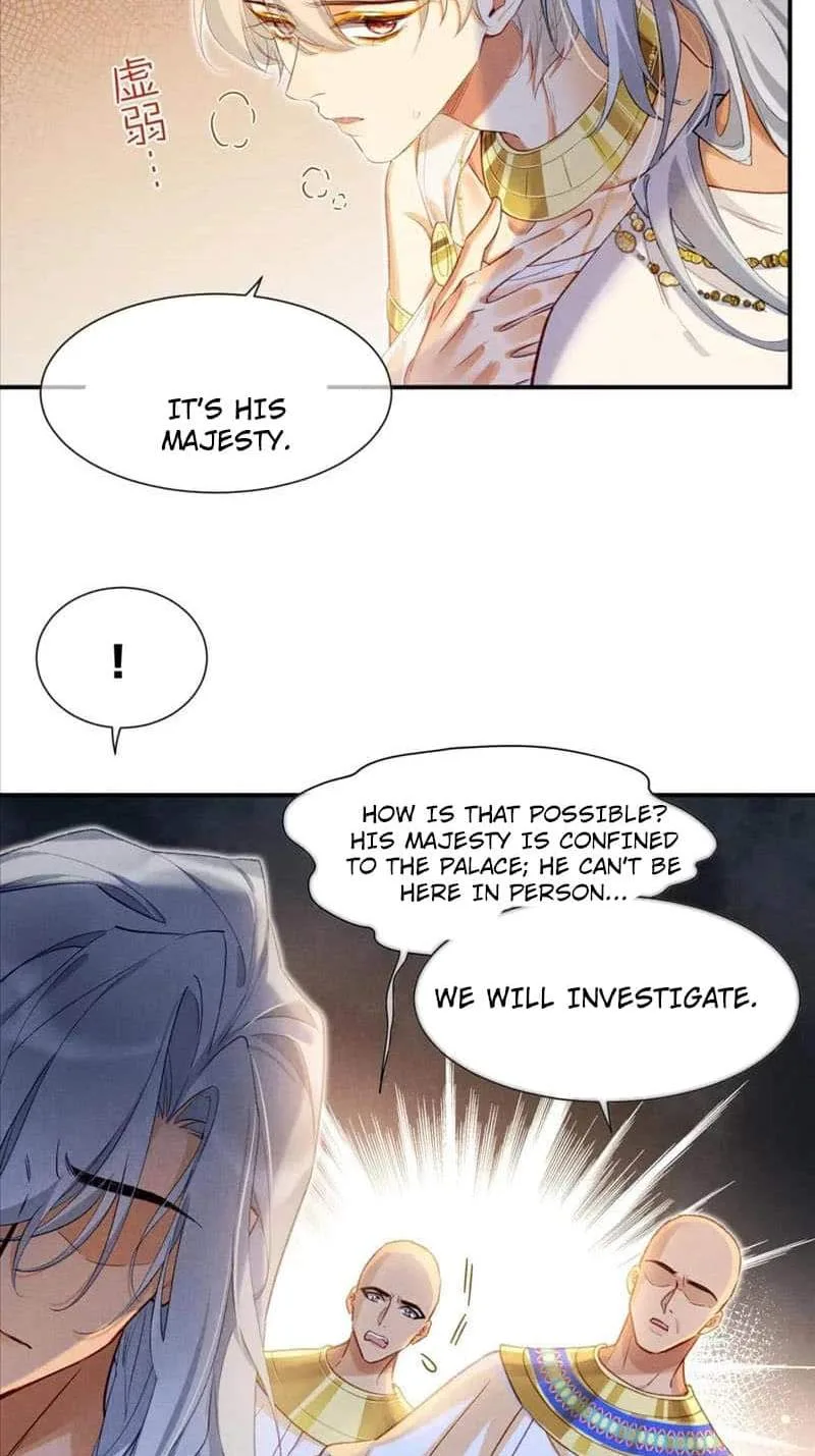 The King Chapter 51 page 30