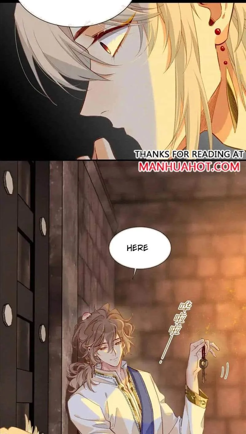 The King Chapter 63 page 13