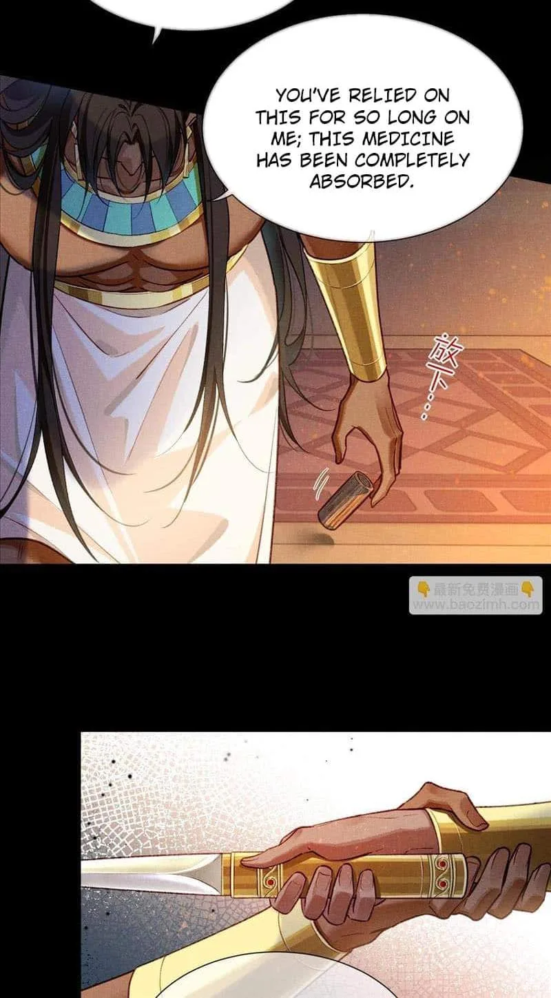 The King Chapter 71 page 43