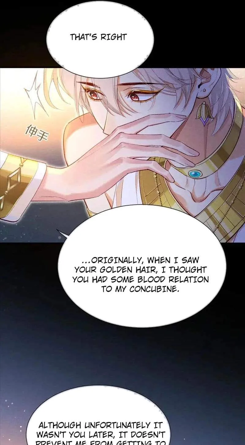 The King Chapter 74 page 33