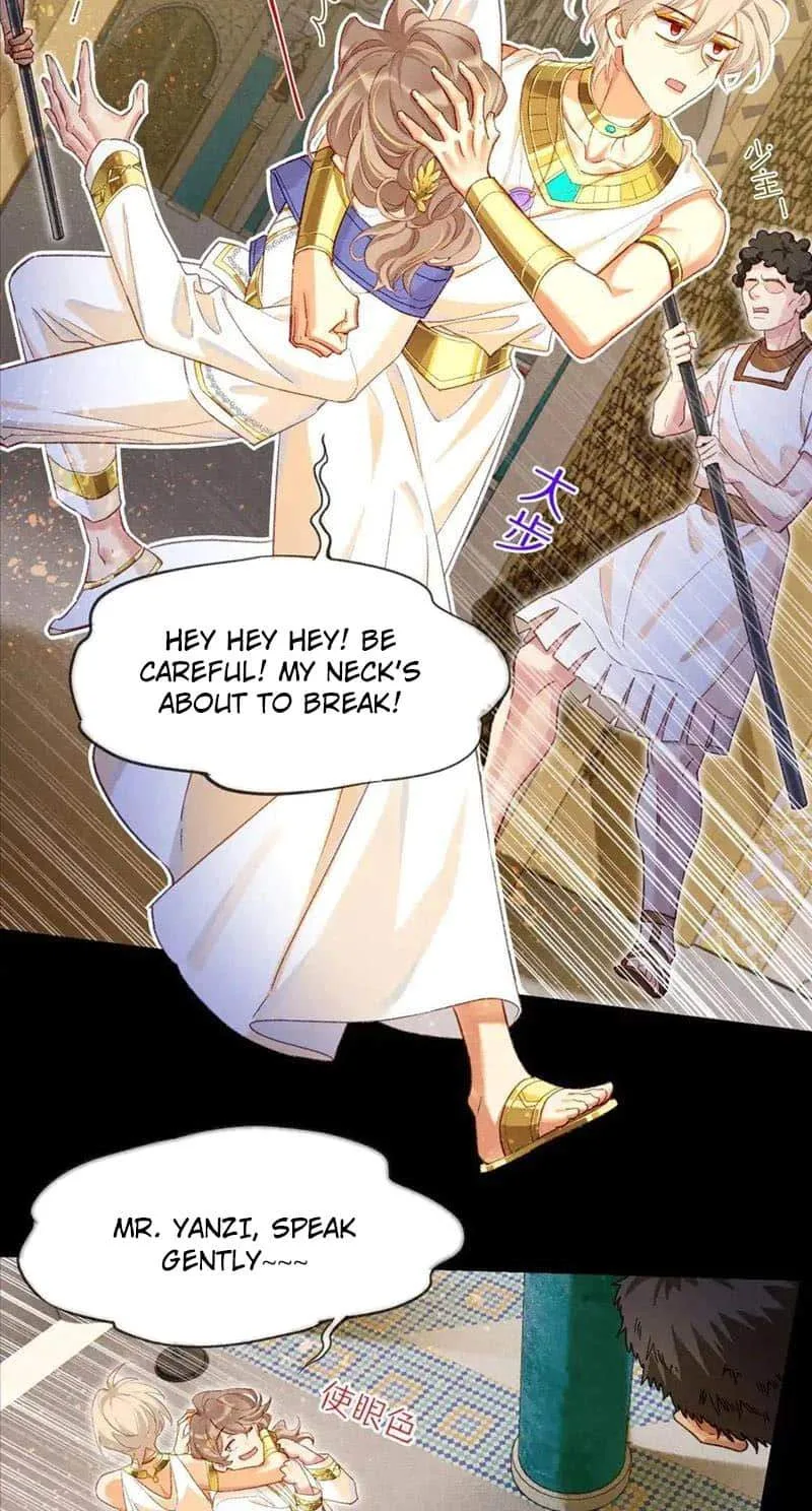 The King Chapter 75 page 11
