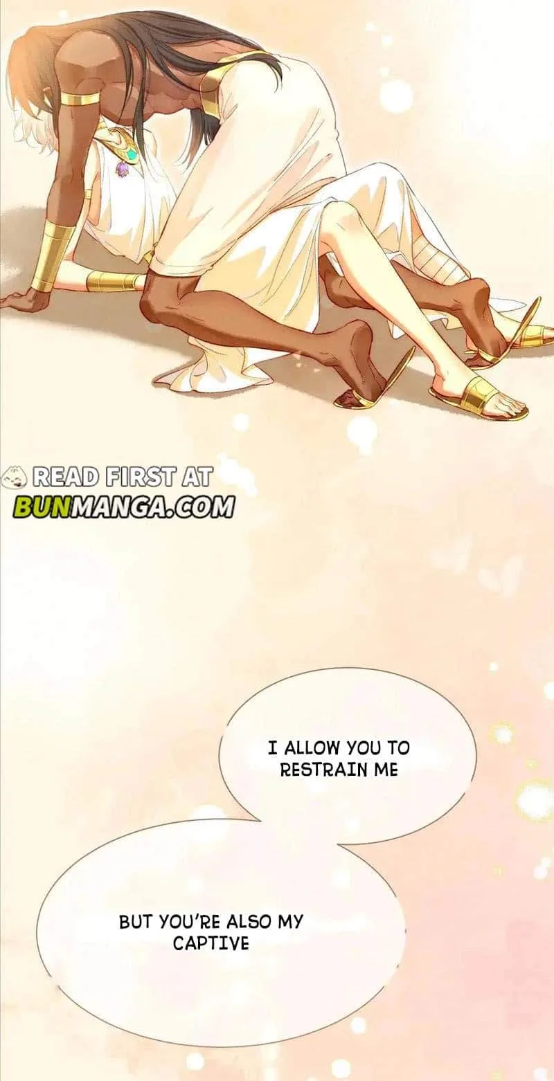 The King Chapter 78 page 61