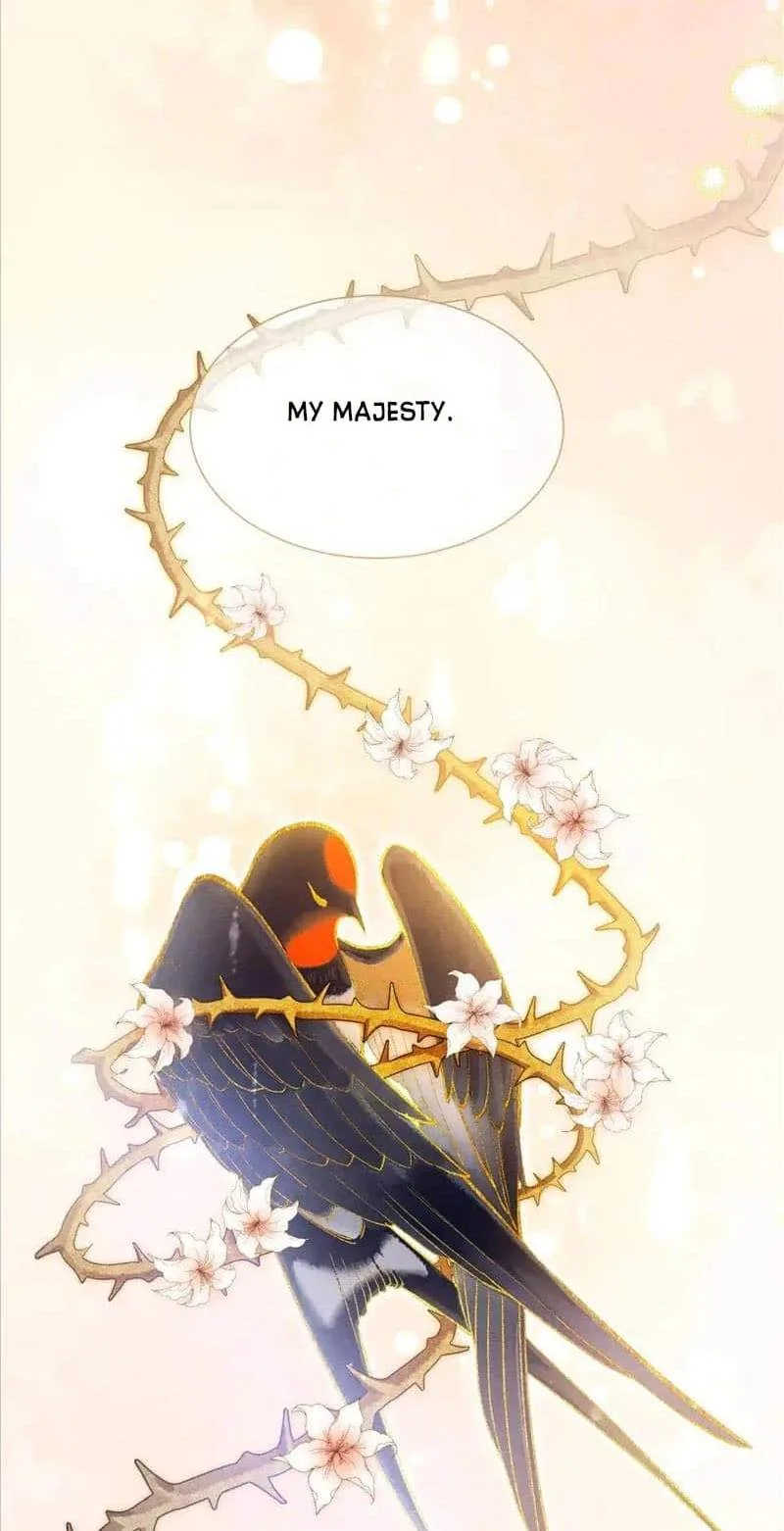 The King Chapter 78 page 62