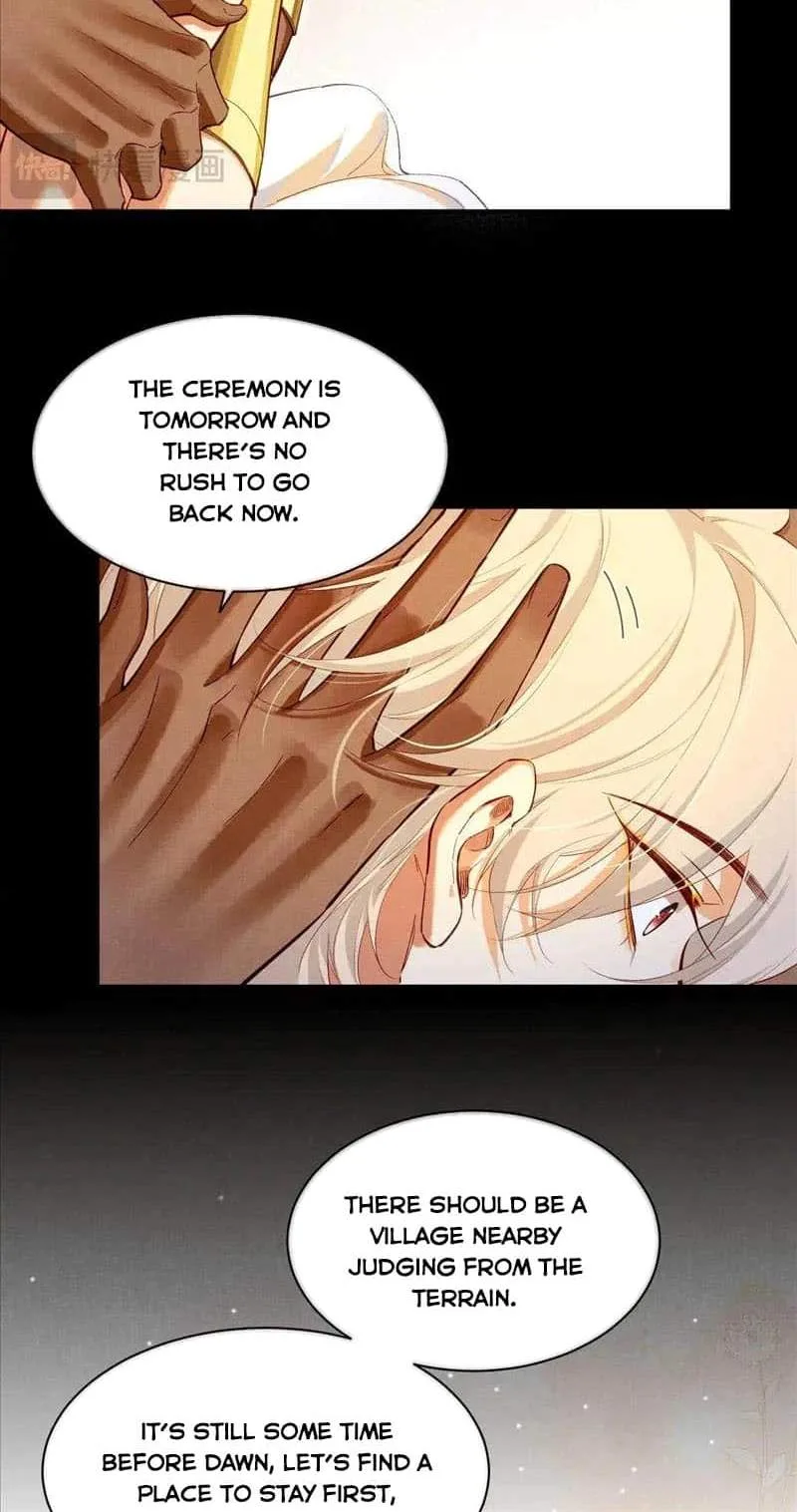 The King Chapter 79 page 28