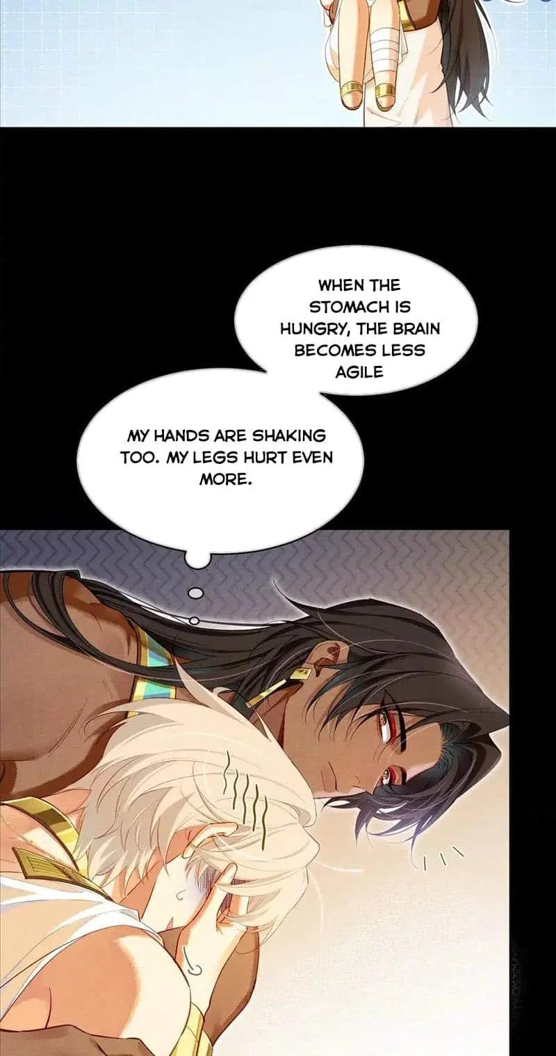The King Chapter 79 page 27