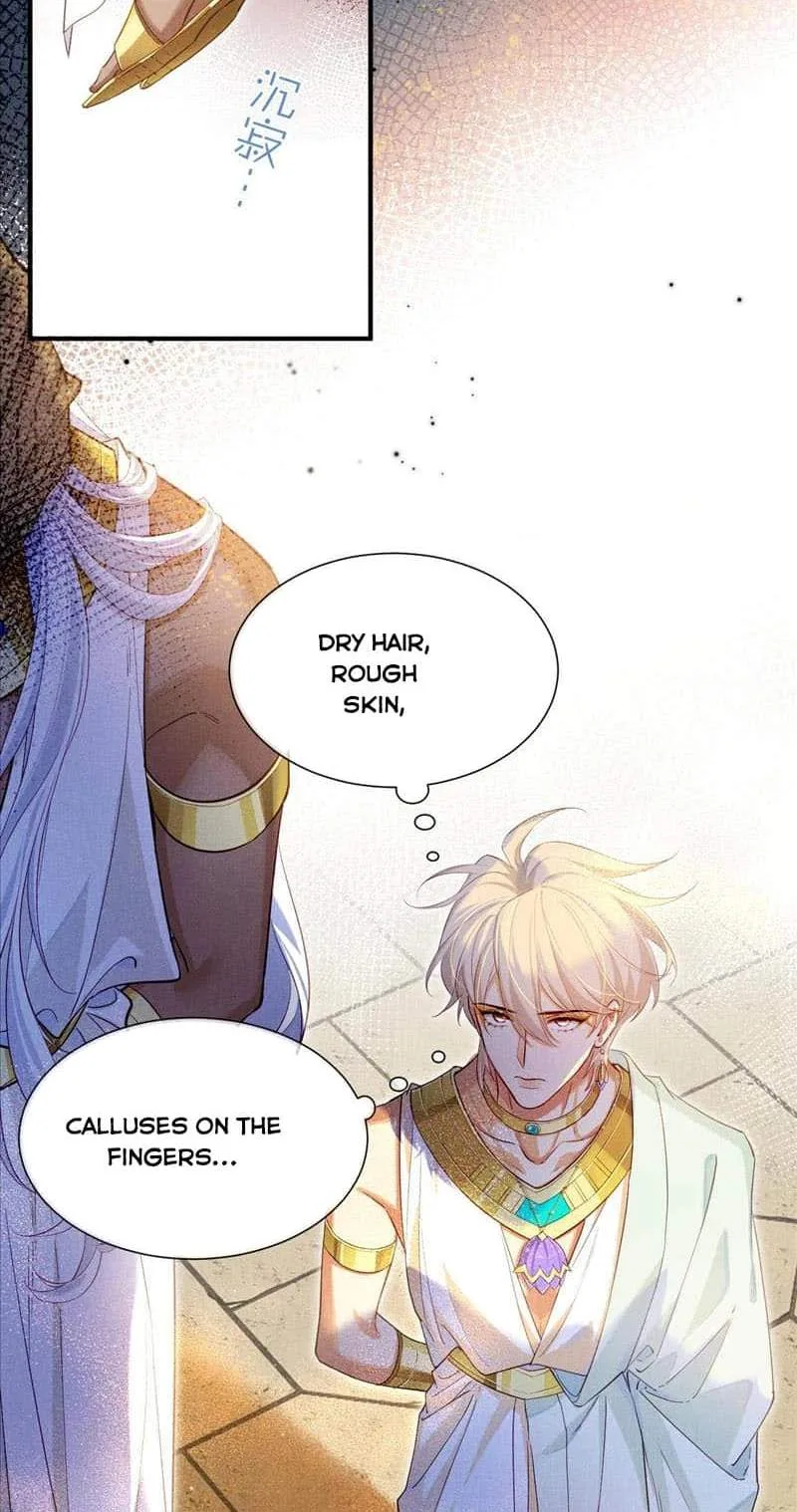 The King Chapter 81 page 31