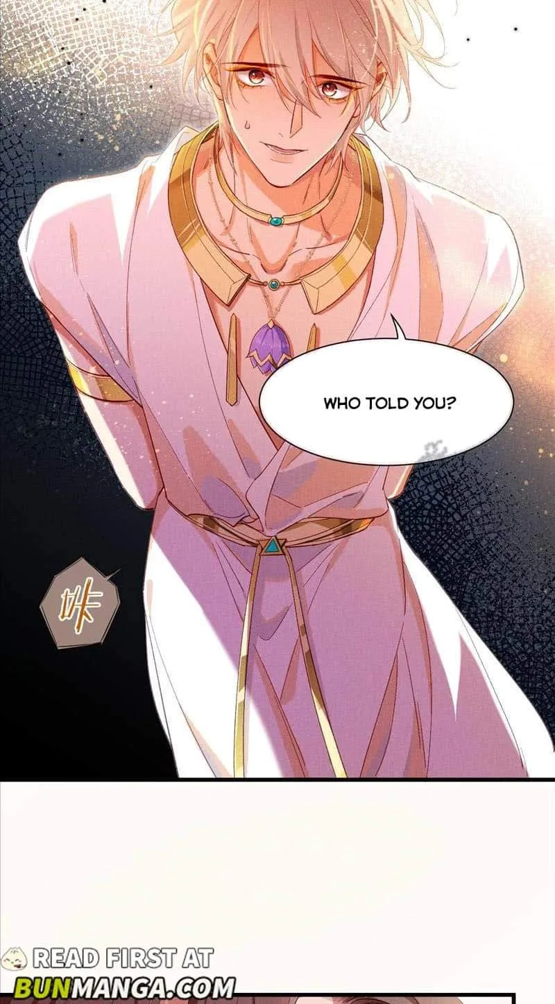 The King Chapter 88 page 30