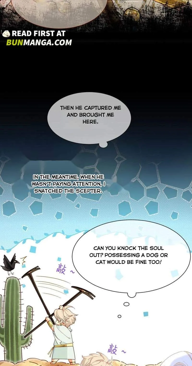 The King Chapter 102 page 11