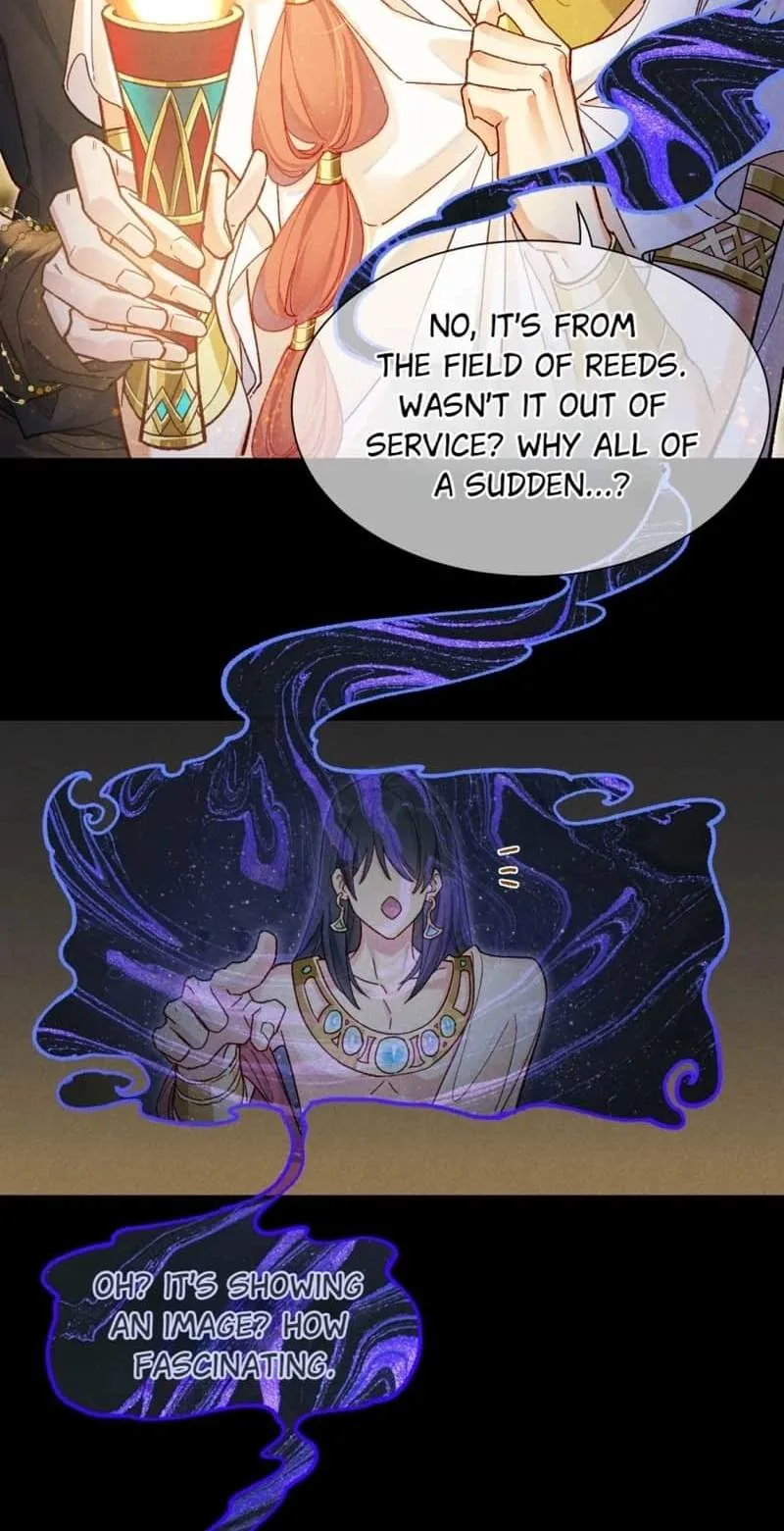 The King Chapter 115 page 42