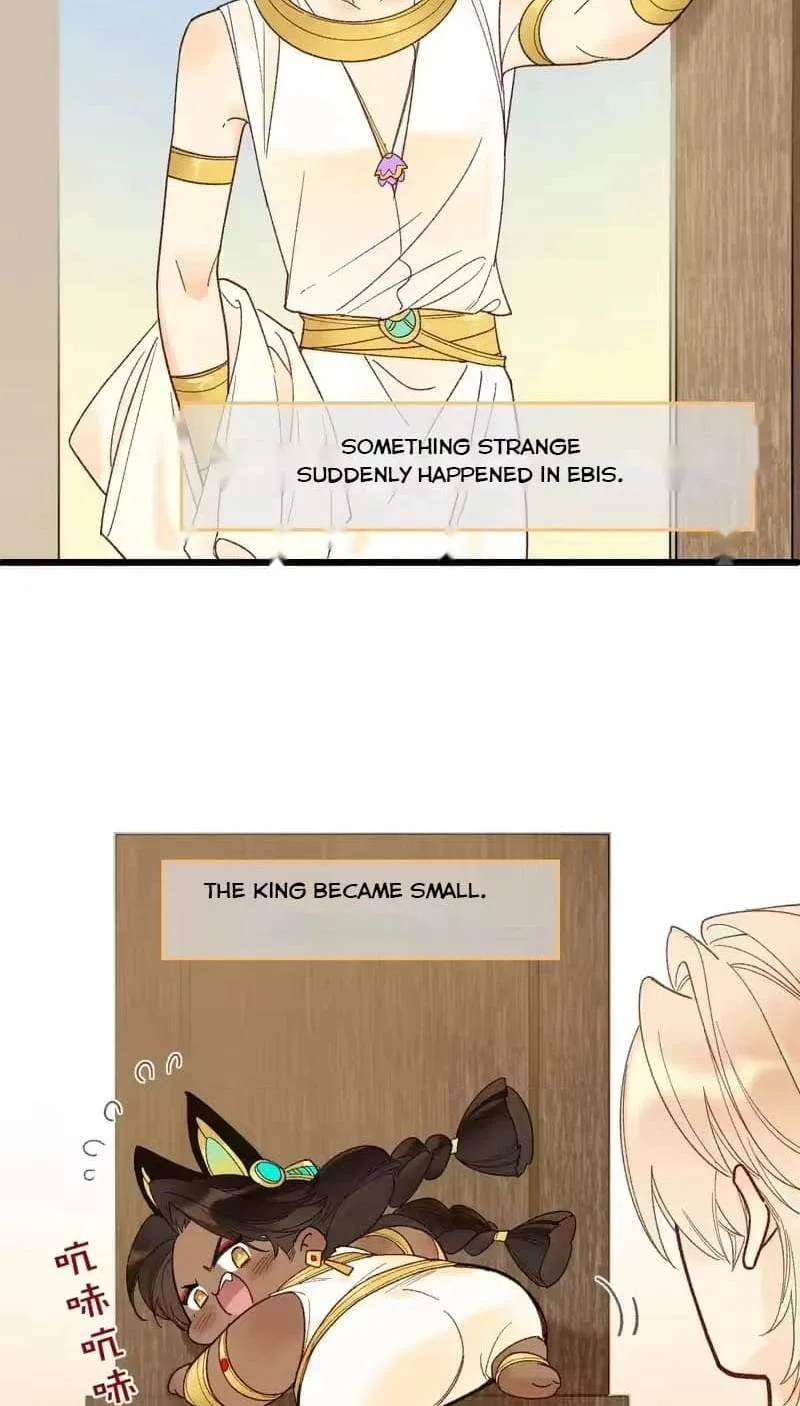 The King Chapter 125 page 2