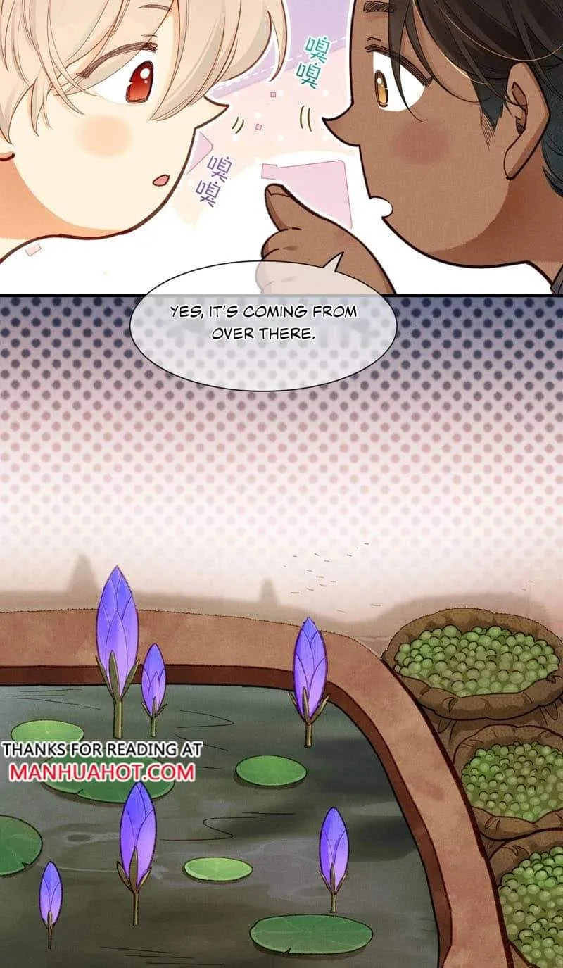 The King Chapter 132 page 20