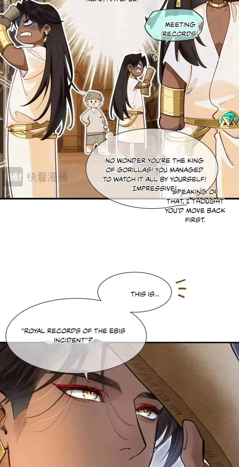 The King Chapter 135 page 28