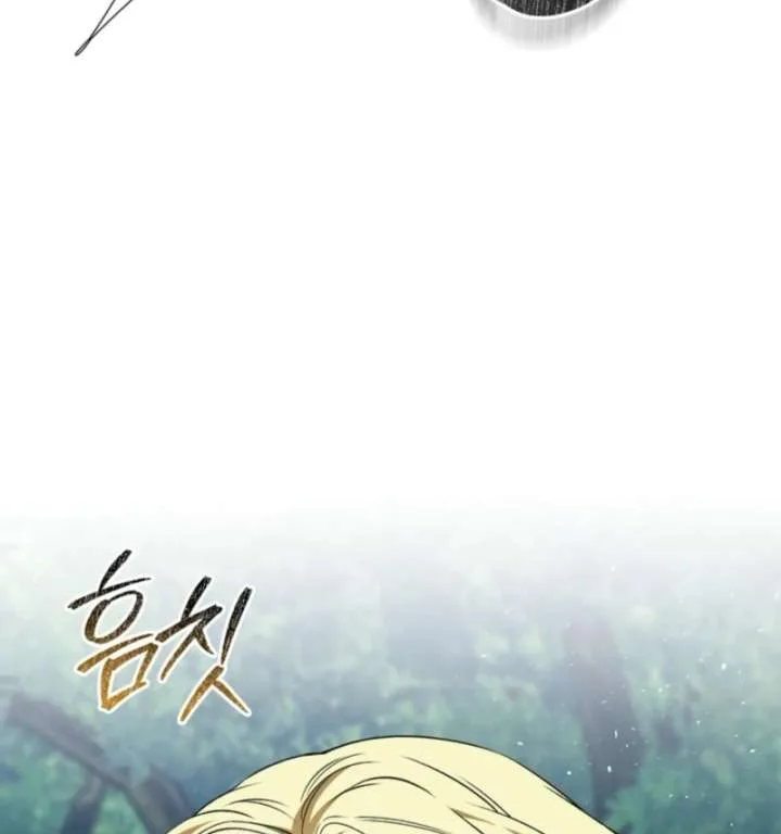 Golden Chevalier Chapter 15 page 55