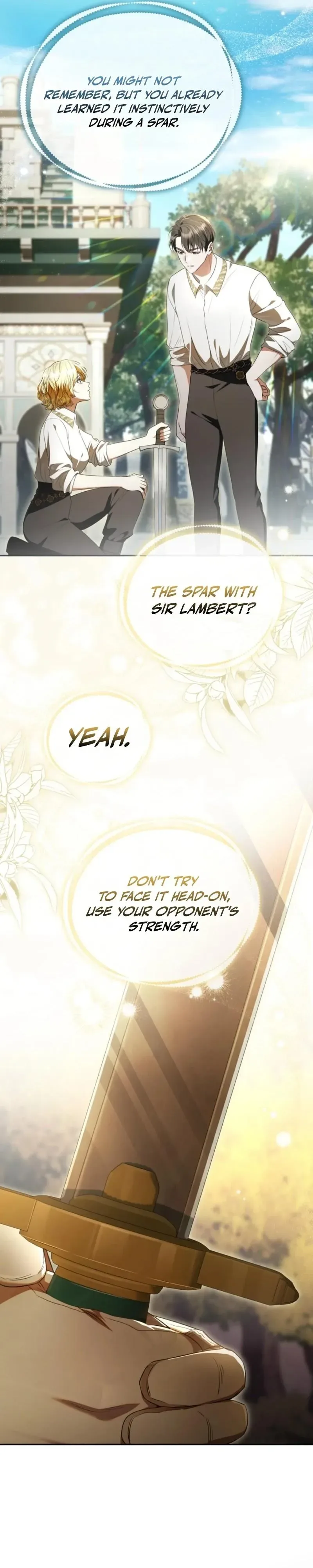 Golden Chevalier Chapter 47 page 11