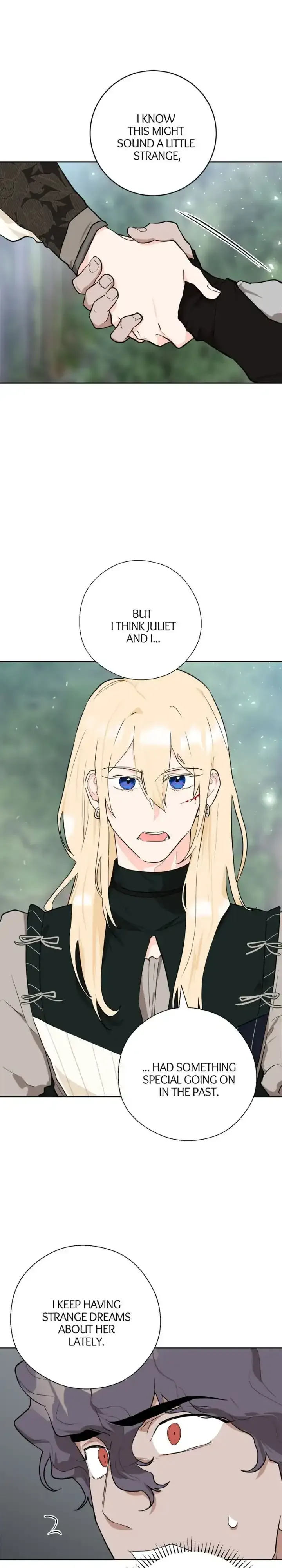 Goodbye My Juliet Chapter 40 page 15