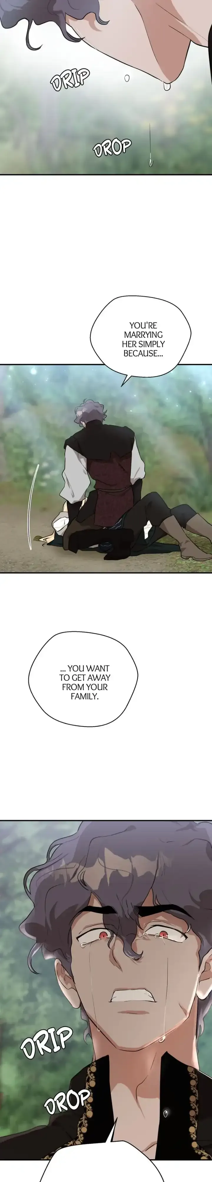 Goodbye My Juliet Chapter 39 page 17