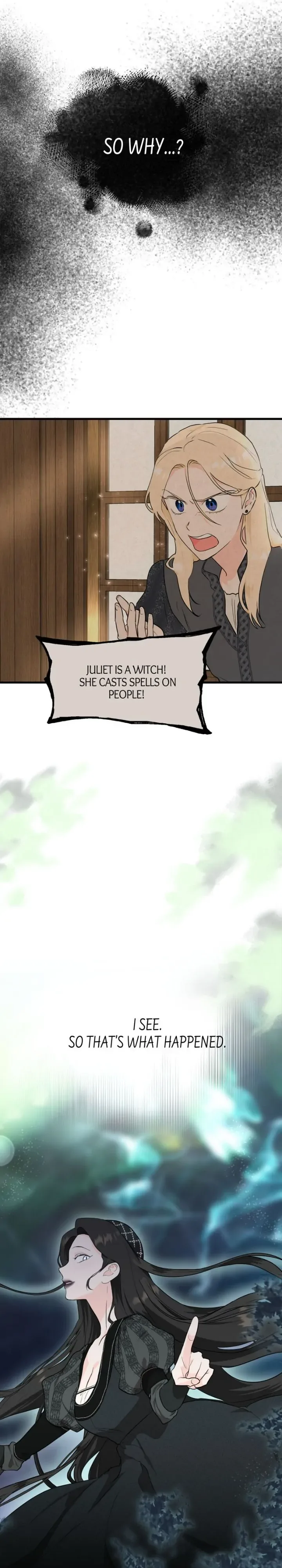 Goodbye My Juliet Chapter 48 page 21