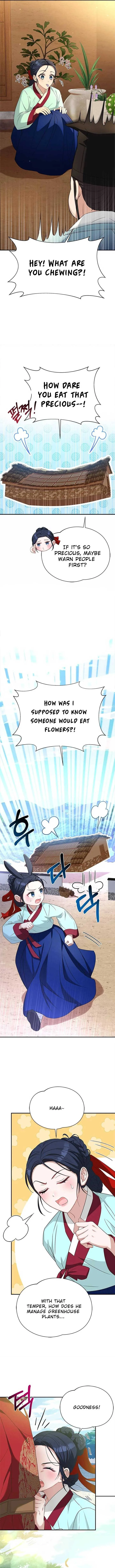 Haesi’s New Path Chapter 16 page 12