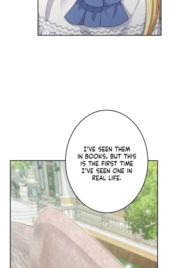 Happiness of the the Holy Maiden’s Fresh Start Chapter 23 page 95