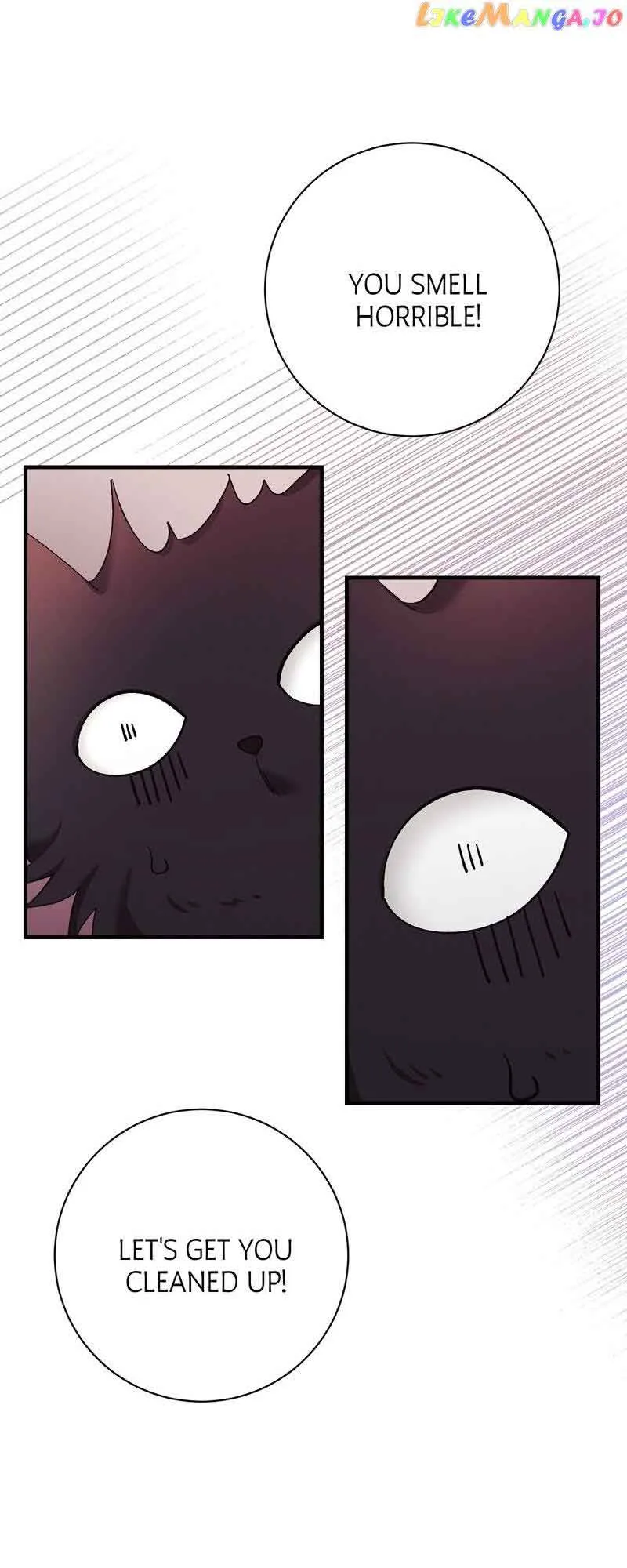 He’s Now Healthy-Perhaps Too Much Chapter 21 page 54