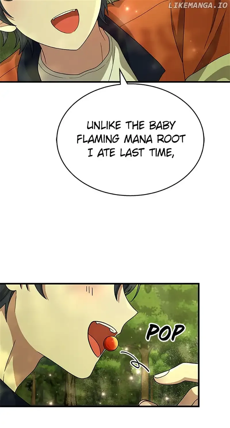 Heir Of Mythical Heroes Chapter 47 page 40