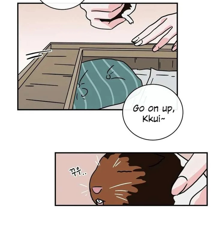 Hell of a Romance Chapter 38 page 13