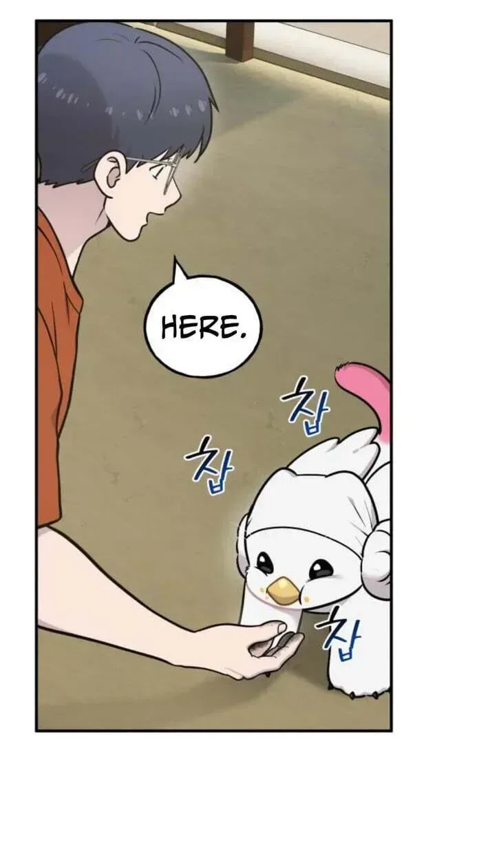 Hello, Griffin the Fluffy Bird! Chapter 51 page 28