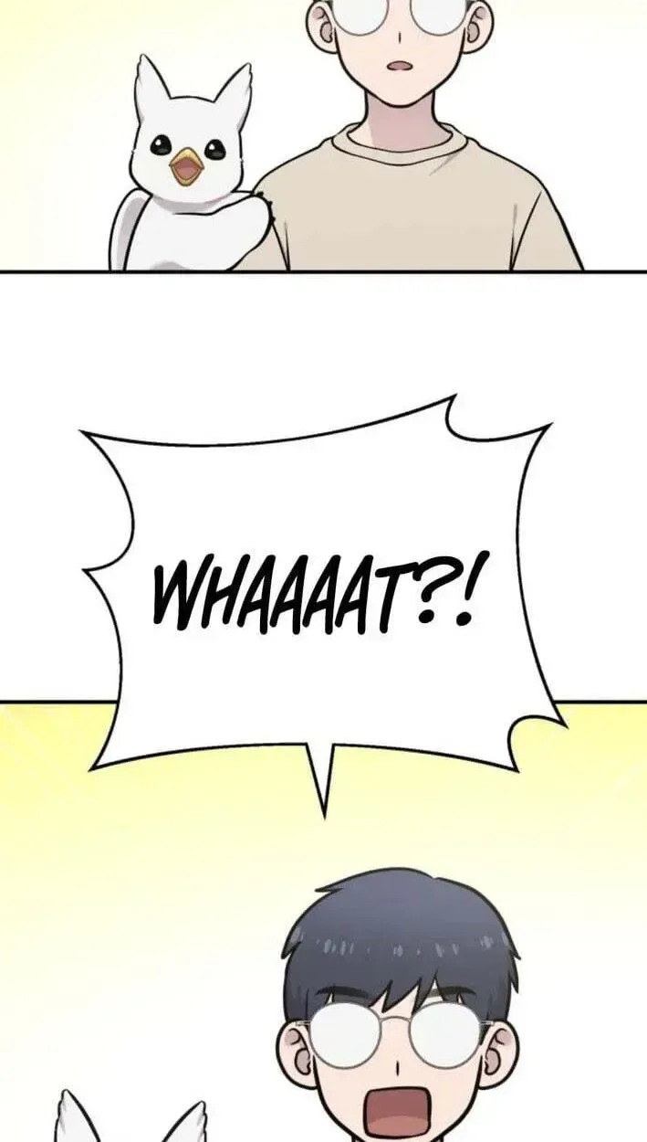Hello, Griffin the Fluffy Bird! Chapter 51 page 88