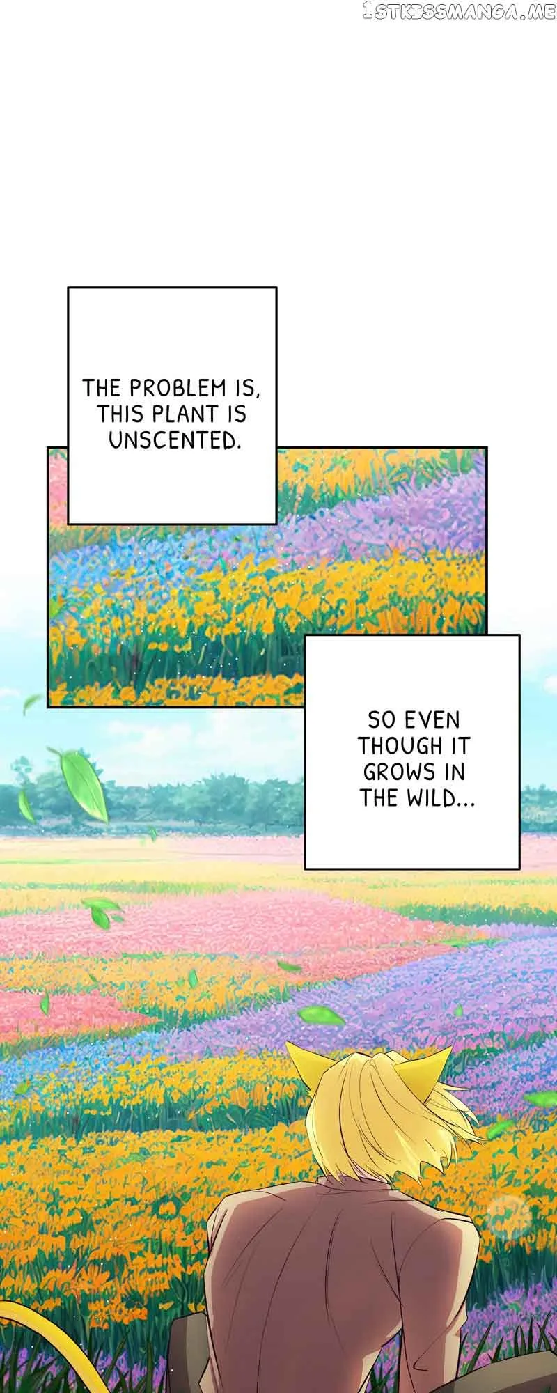 Hello, I’m the Gardener! Chapter 71 page 7