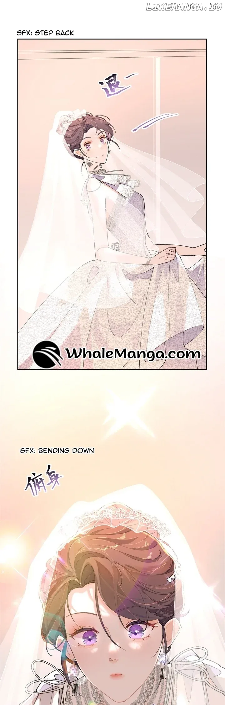 Her Marriage Was Called Off at Daytime, the Cutely Fierce Commander Asked Her For a Hug at Night Chapter 2 page 5