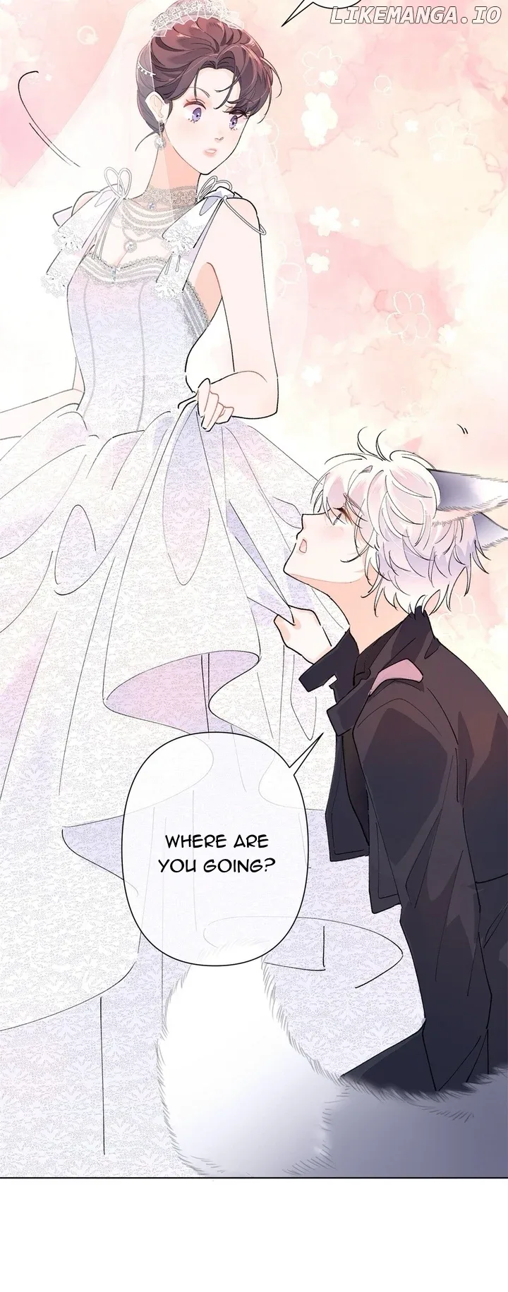 Her Marriage Was Called Off at Daytime, the Cutely Fierce Commander Asked Her For a Hug at Night Chapter 2 page 11