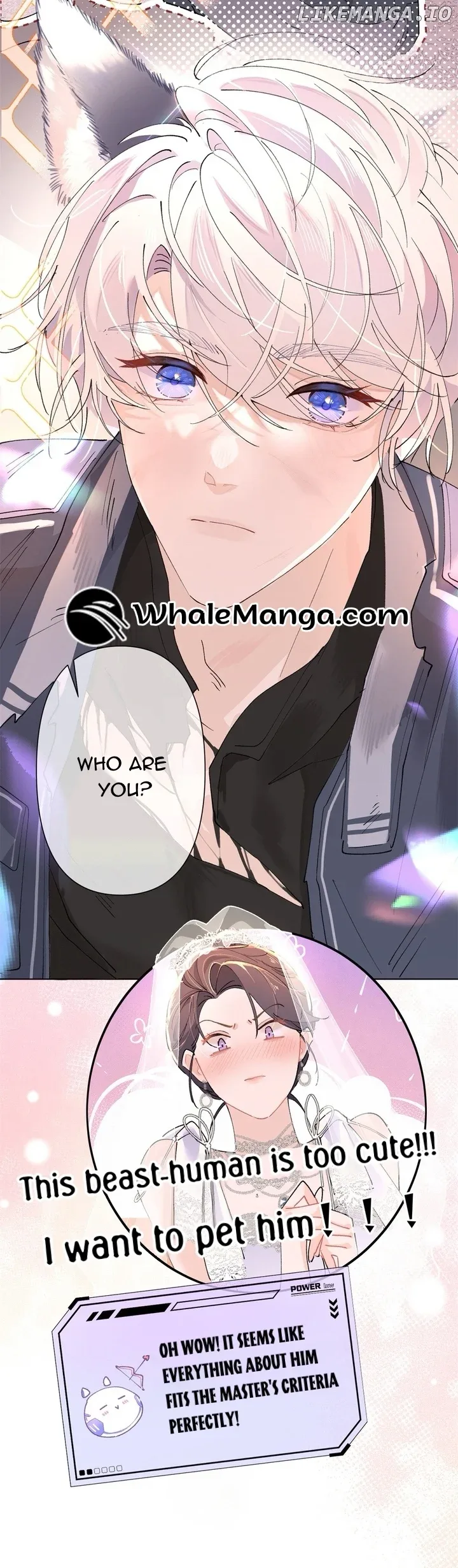 Her Marriage Was Called Off at Daytime, the Cutely Fierce Commander Asked Her For a Hug at Night Chapter 2 page 7